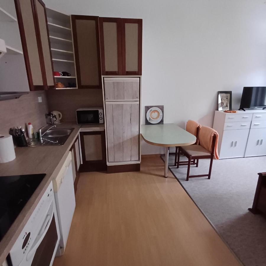 Ap 4 Alice Suite Near Vridlo Collonade Karlovy Vary Eksteriør billede