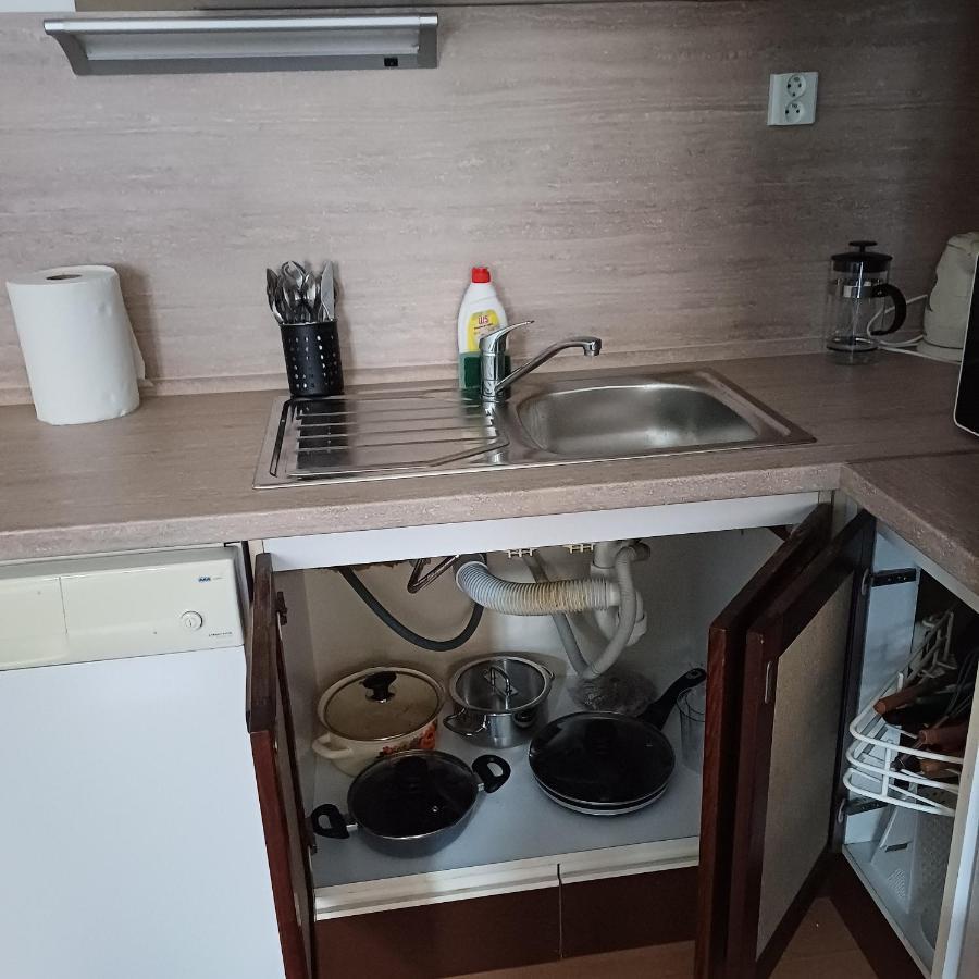 Ap 4 Alice Suite Near Vridlo Collonade Karlovy Vary Eksteriør billede