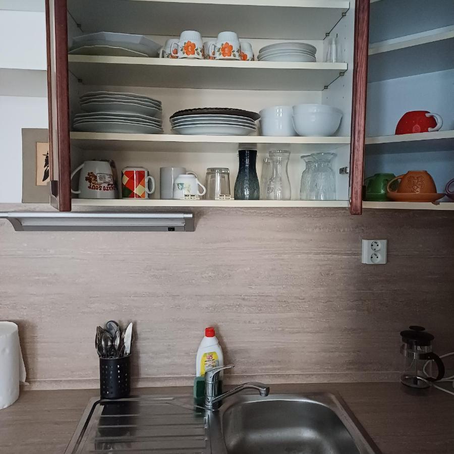 Ap 4 Alice Suite Near Vridlo Collonade Karlovy Vary Eksteriør billede